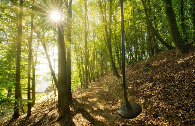 Oberprill Modern Retreat - Foto 15