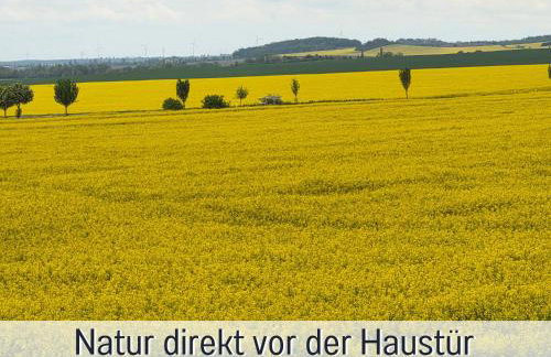Die Perle am Teich ist Ihre exklusive Ferienwohnung mit Klimaanlage und großer Terrasse im Harz - Foto 28