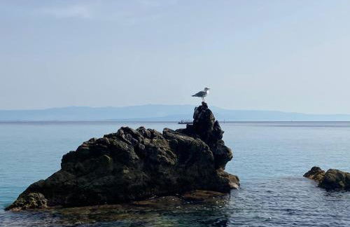 Villettemire - Foto 12