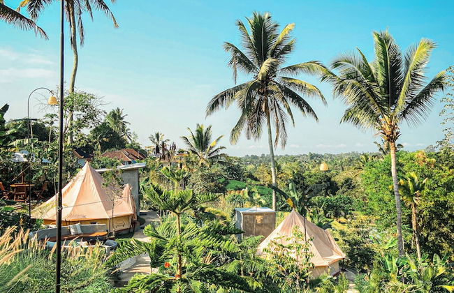 Kamanicamp - Foto 24