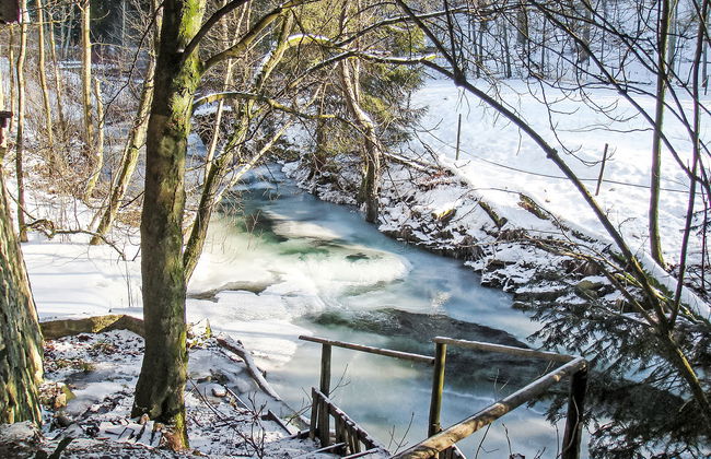 Altes Forsthaus Sösetal - Foto 31