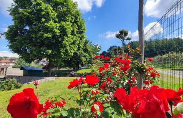 Casa Caliera - Foto 15