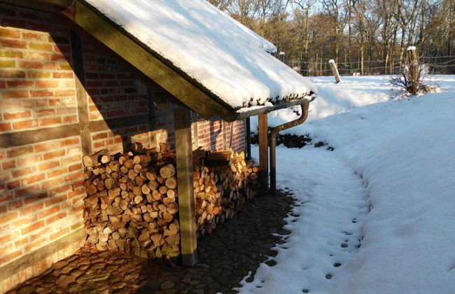 Holiday Home Wollspeicher - Foto 15