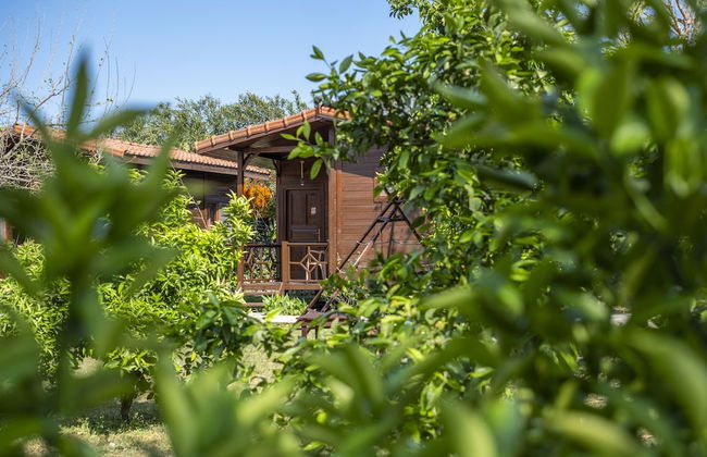 La Maison Hotel Çıralı - Foto 21