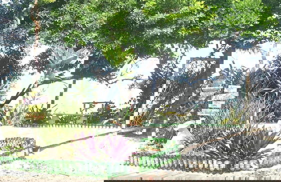 Branca Tropical Brasil Residencial - Foto 63