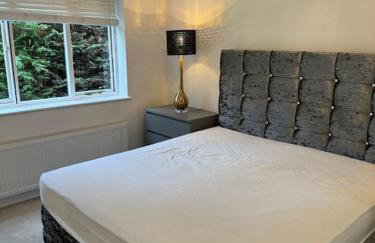 Weybridge garden cottage - Foto 17