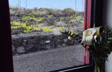 Yes Pico - By the Sea "Casa 3 Vistas" - Photo 20