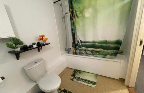 Luxurious Bedroom in One Bed apartment - Foto 9