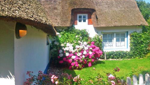 Föhrer Friesenkate West - Foto 2