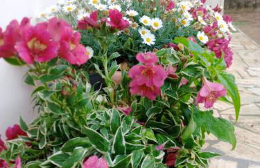 La casetta di Amenorade - Foto 30