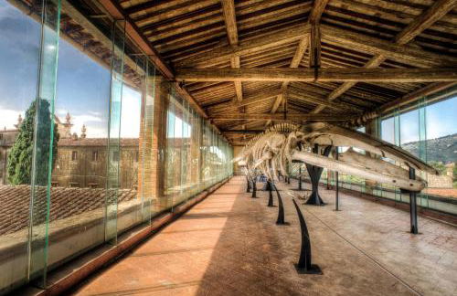 Il Balconcino sulle Terme - Foto 53