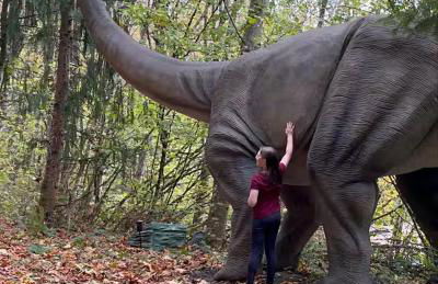 Spring Break Promos - LifeSize Dinos, 4BR, HotTub - Foto 14