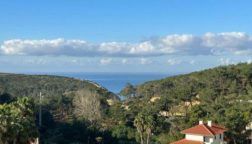 São Julião Beach - Photo 4