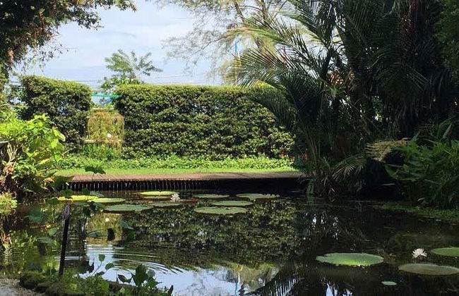 Entrada al Jardín de Especias Tropicales - Foto 1