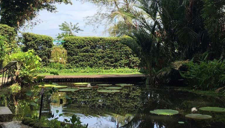 Biglietti per il Giardino delle Spezie Tropicali