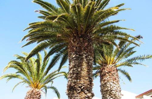 Little Gem apartment, Los Molinos - Foto 40