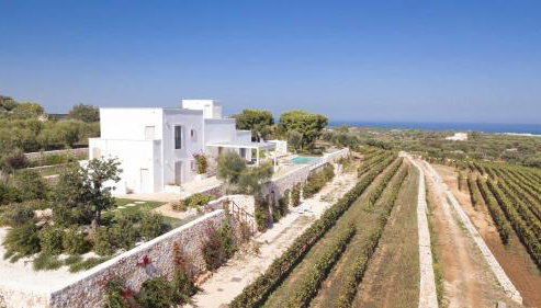 TD Tenuta Donna Madia Sea View Pool Over Vineyard - Foto 5, Other