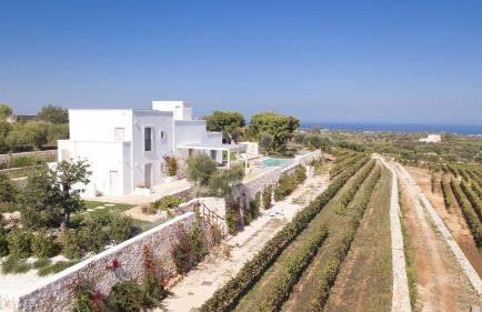 TD Tenuta Donna Madia Sea View Pool Over Vineyard - Foto 5
