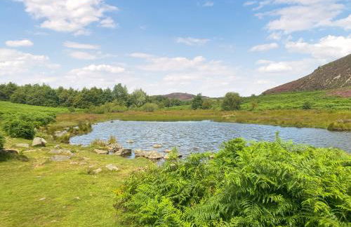 1 Bronrallt - Foto 26