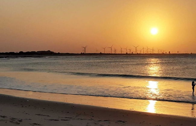 Joais do Nordeste - Foto 45