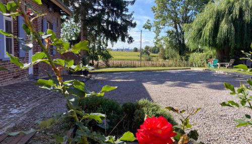 Au coin du loup, monts de Flandres, Zwarteberg - Foto 3