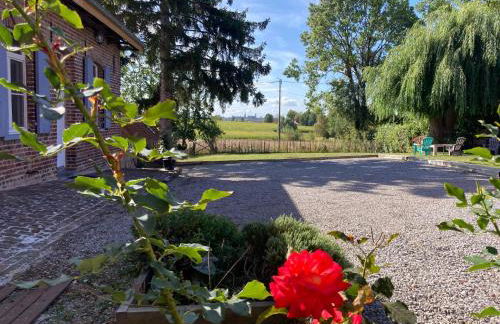 Au coin du loup, monts de Flandres, Zwarteberg - Foto 3