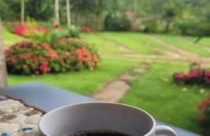 Chalés Flor do Caparaó em Patrimonio da Penha - Foto 37