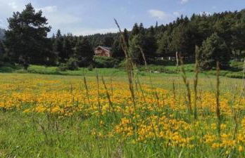 Apt confortable au pied des pistes et de la forêt - Foto 57
