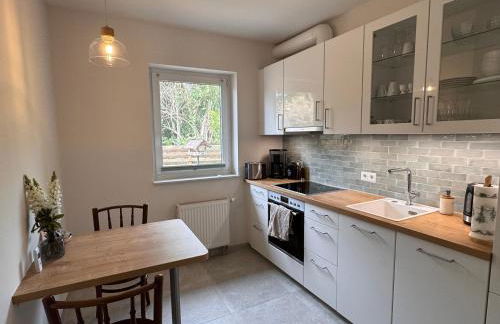 moderne 2-Zimmer-Wohnung mit überdachter Terrasse - Foto 12