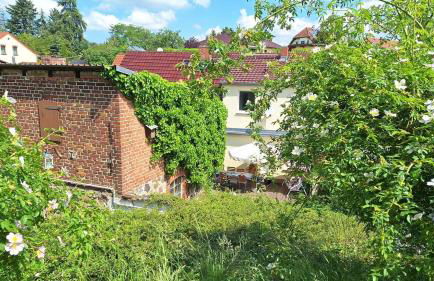 Große Ferienwohnung in Flecken Zechlin - Photo 46