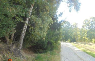 Wójtówka 16 - Foto 14