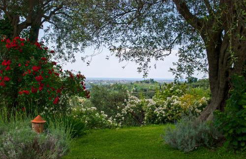 Azienda agricola Della Mezzaluna - Foto 51