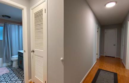 Cuddlefish - Foto 18