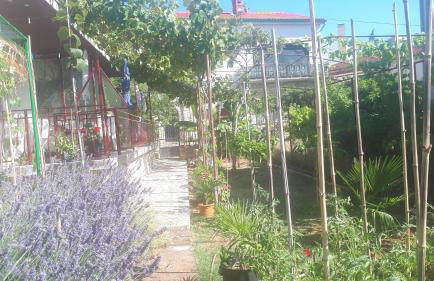 Levak Apartments - Apt.3 - Photo 29