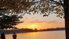 FeWo "Arte" am Wandlitzsee - Foto 4