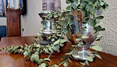 Altstadt Quartier - Foto 5