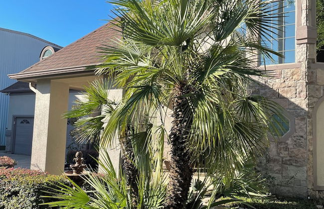 EURA near Houston Downtown - Foto 32