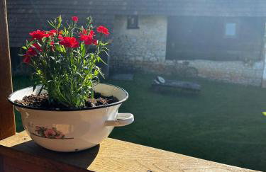 Dorina hiža - Foto 10