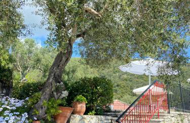 Villa Chrysoula - Foto 17