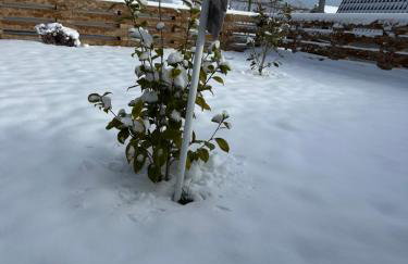 Villa Međimurka - Foto 29