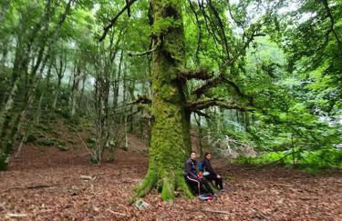 LA CASETTA - Mon Petit Chalet - Foto 50