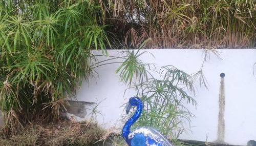 Sweet Dreams - Foto 2