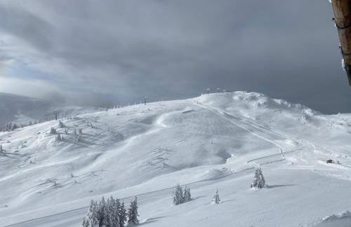 Villa Silvia - Photo 43