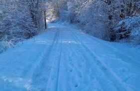 FLAMBOYANT - Foto 26