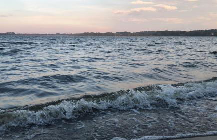 Bücherträume - Foto 28