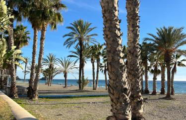 Piso Dobrola - Foto 42