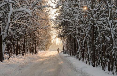 Trójmiasto nad jeziorem DOM -ECHOCHATA - Foto 44