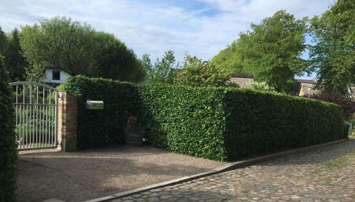 Ferienhaus Wichmannsdorf - Foto 5