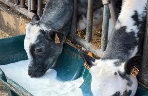 Au Charme De Bussy - Maison près de Disneyland Paris, Forêt, Gare - Foto 31