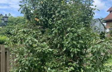 Am Nordglacis - Foto 16